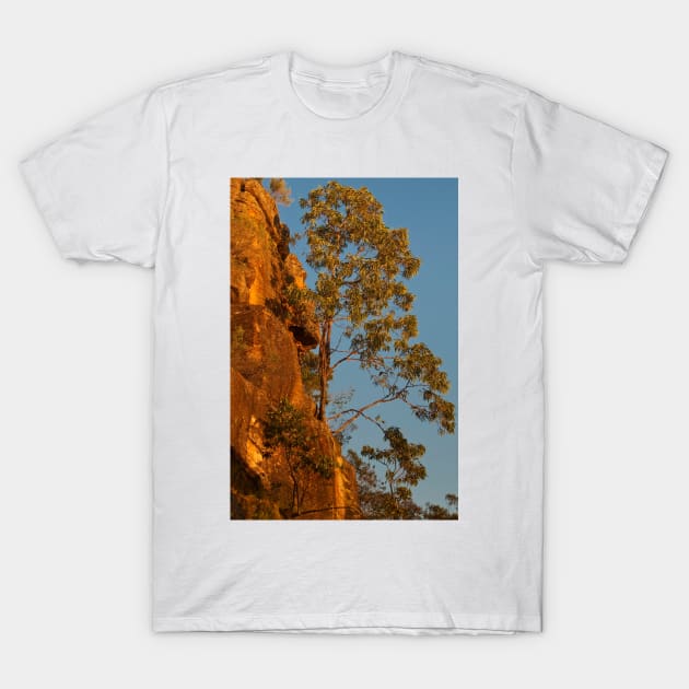 Sandstone on Fire T-Shirt by fotoWerner